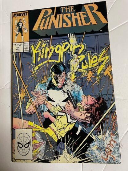 The Punisher   #14   FN/VF